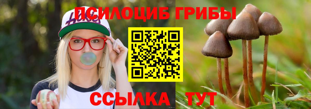 Кумертау  Псилоцибиновые грибы ЛСД  Вход с VPN 