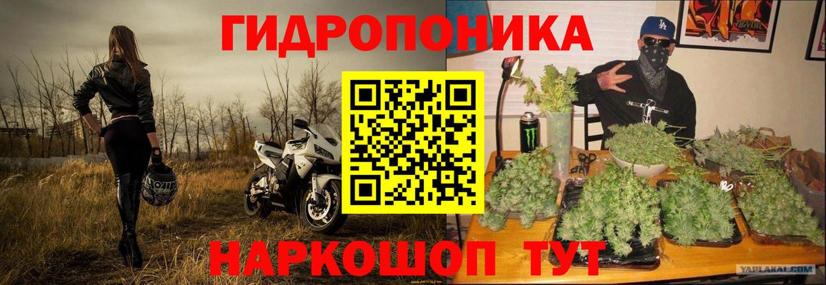 Бошки марихуана OG Kush  Конопля марихуана  Каннабис индика  Вход с VPN  Кумертау 